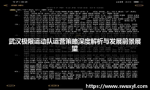 武汉极限运动队运营策略深度解析与发展前景展望